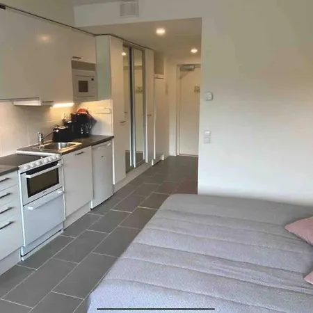Studio In The Heart Of Levi. Walk To Lift Апартаменты Киттиля